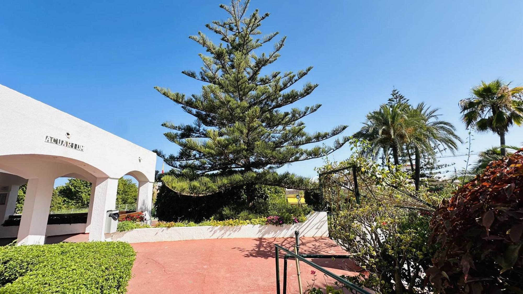 Marbella Studio Golden Mile Exteriör bild